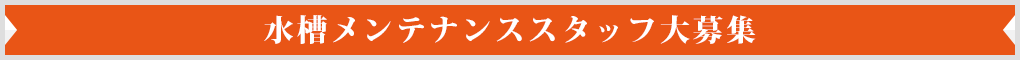 口コミで広がったスマイルアップとは